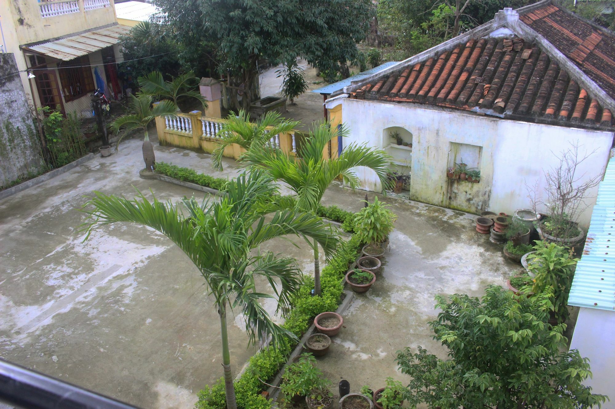 Hoi An Green View Homestay & Villa Eksteriør billede