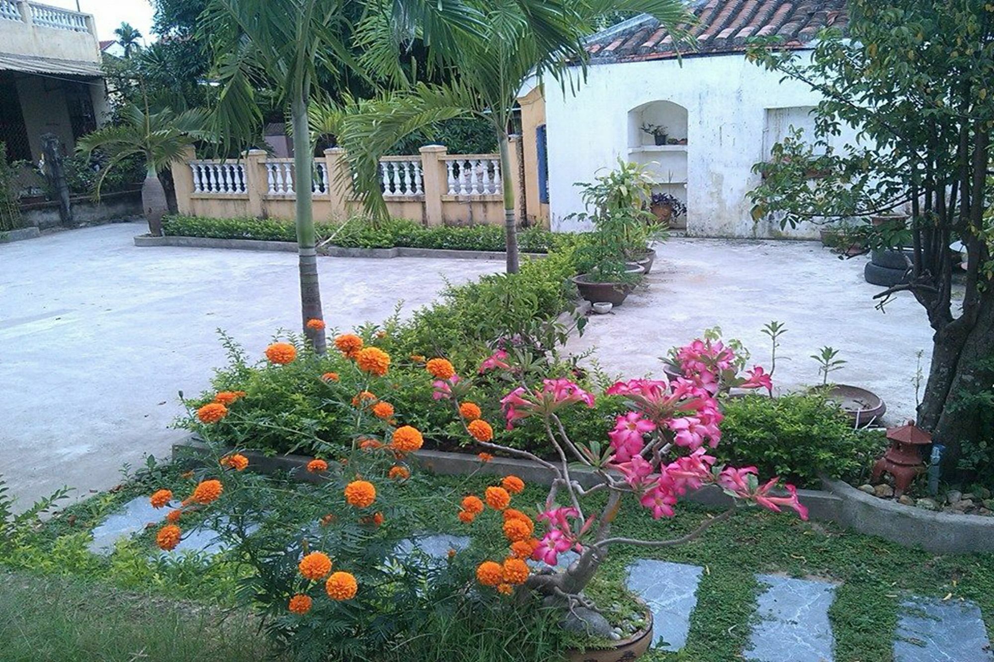 Hoi An Green View Homestay & Villa Eksteriør billede