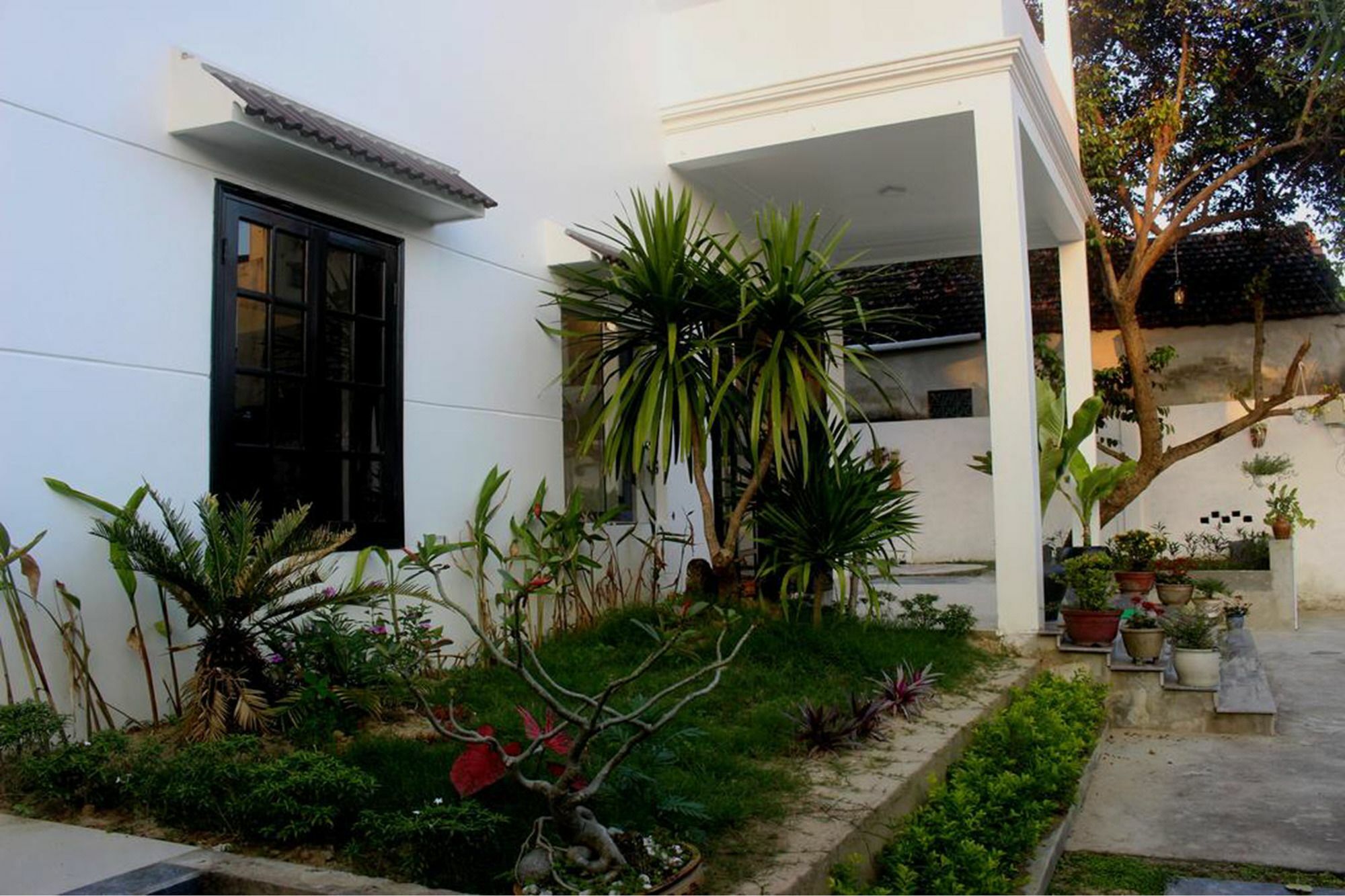 Hoi An Green View Homestay & Villa Eksteriør billede