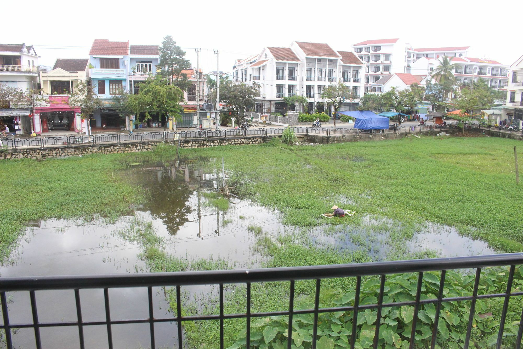 Hoi An Green View Homestay & Villa Eksteriør billede