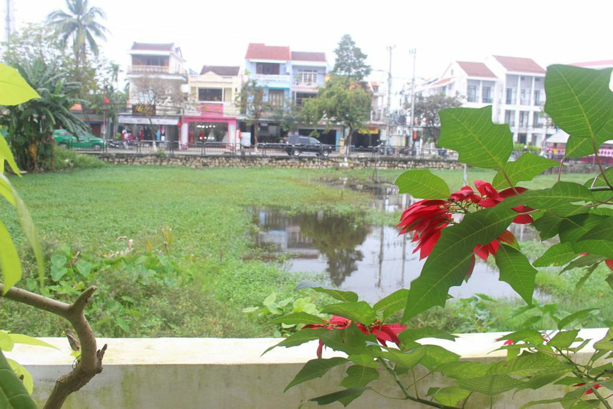 Hoi An Green View Homestay & Villa Eksteriør billede