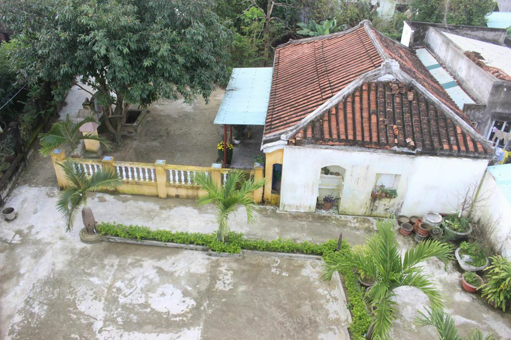Hoi An Green View Homestay & Villa Eksteriør billede